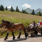 Vendégház Goralka