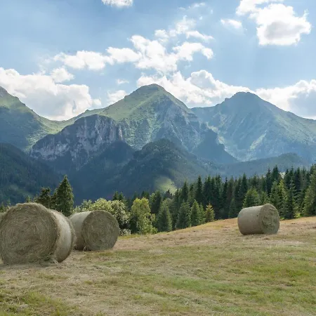 Penzión pre hostí Penzión Goraľka 3*