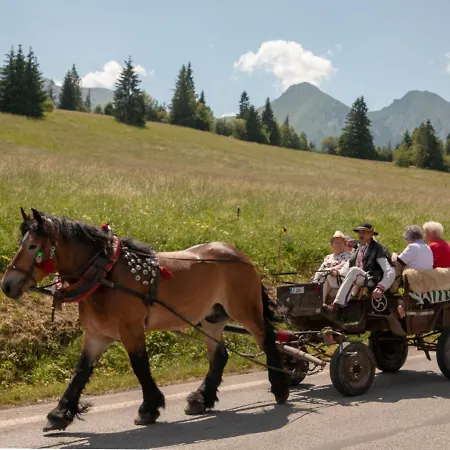 Penzión pre hostí Penzión Goraľka